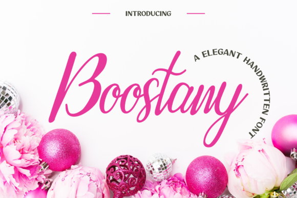 Boostany: A Handwritten Typeface for Modern Web Design