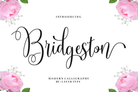 Bridgeston Font: A Playful Script for Memorable Branding