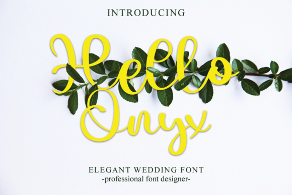 Hello Onyx: A Stylish Typeface for Campaign Designers